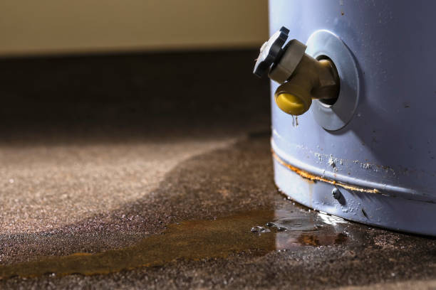 Best Flood damage cleanup  in Blacksburg, SC