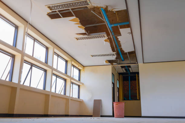 Best Basement water damage restoration  in Blacksburg, SC