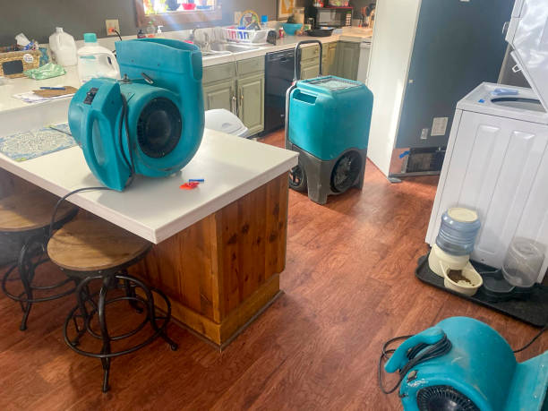  Blacksburg, SC Water damage restoration Pros