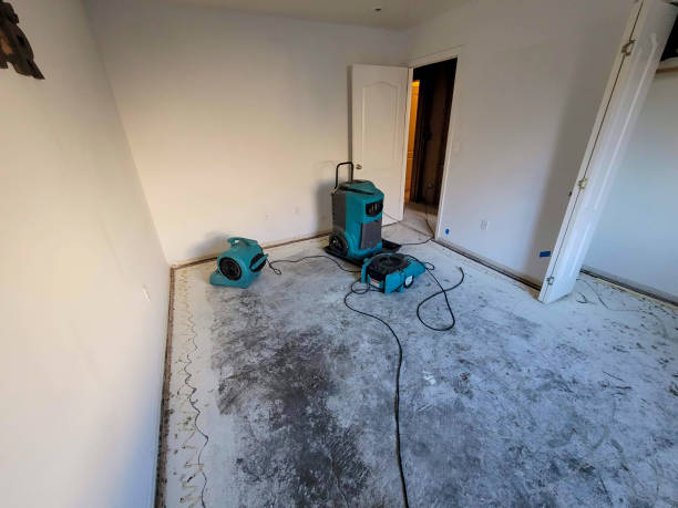Best Water damage restoration near me  in Blacksburg, SC