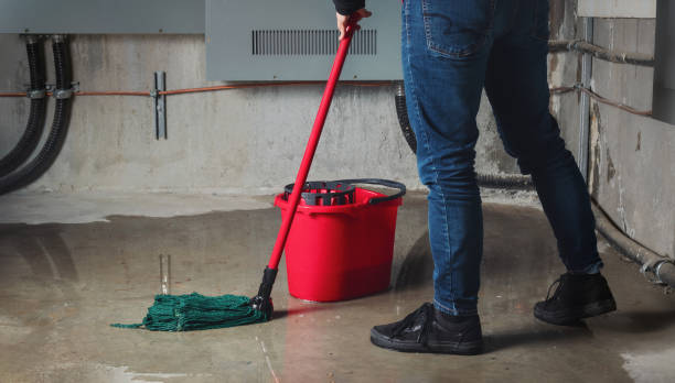 Best Ceiling water damage repair  in Blacksburg, SC