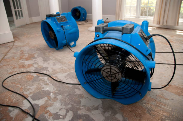 Best Professional water damage repair  in Blacksburg, SC