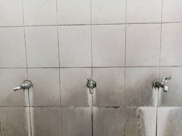 Best Flooded house restoration  in Blacksburg, SC