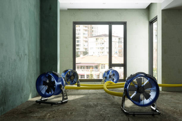 Best Water damage contractors near me  in Blacksburg, SC