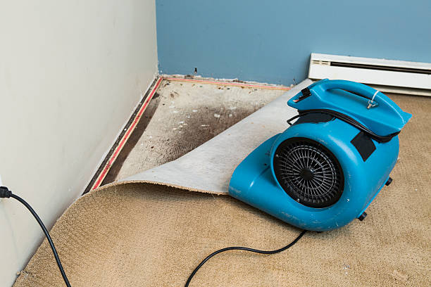 Best Basement water damage restoration  in Blacksburg, SC